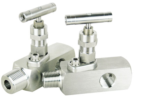 GV1 Series Gauge Valves