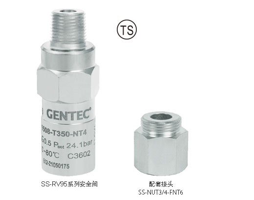 RV95 系列低温安全阀