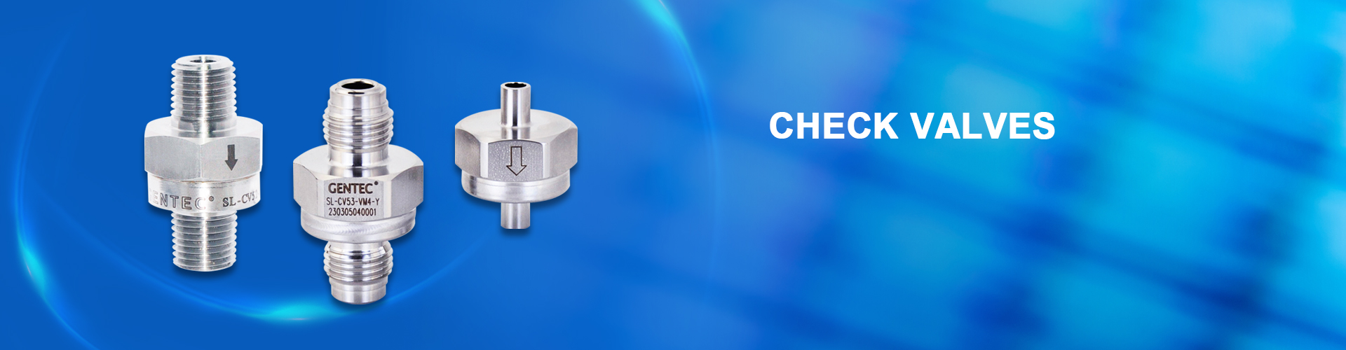 UHP Check Valves