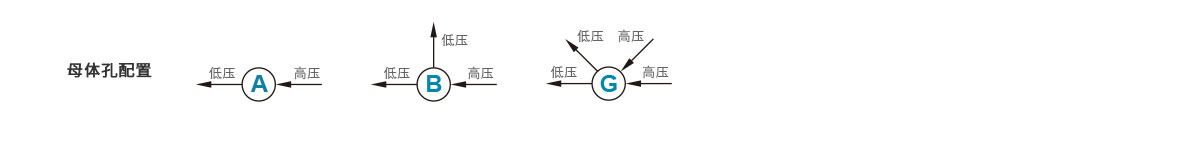 订购指南