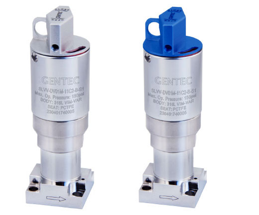 IGS DV01系列手动膜片阀