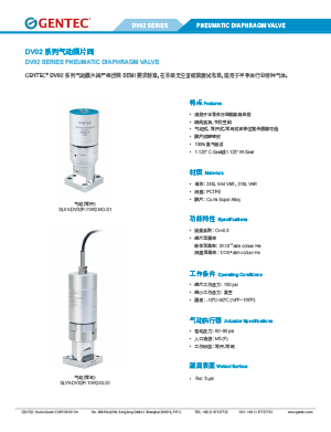 IGS DV02系列膜片阀 (气动)