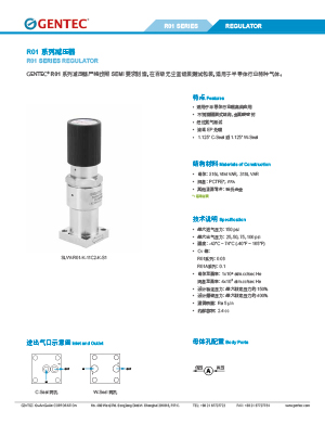 IGS R01系列减压器