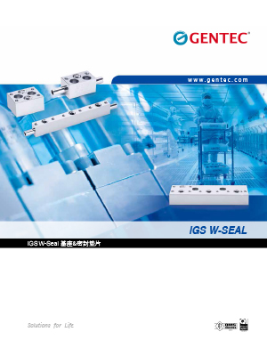 IGS基座和密封垫片 W-Seal