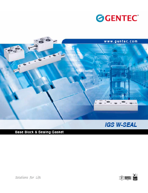 IGS W-Seal Base Block & Sealing Gasket