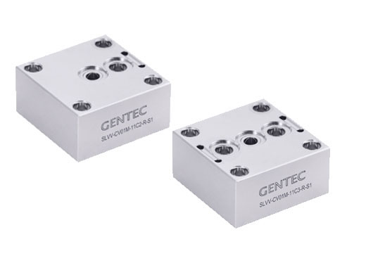 IGS CV01 Series Check Valves (Modular)