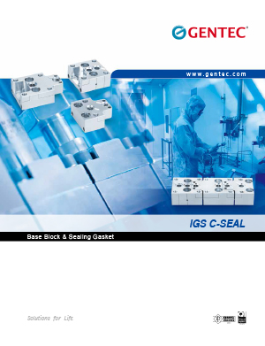 IGS C-Seal Base Block & Sealing Gasket
