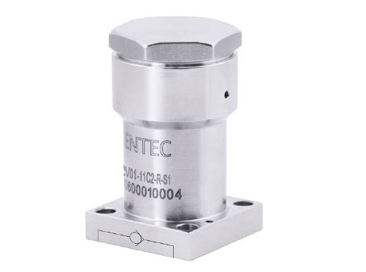 CV01 Series Check Valves (Top Mount)