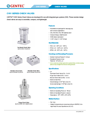 IGS CV01 Series Check Valve