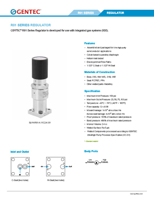 IGS R01 Series Regulator 
