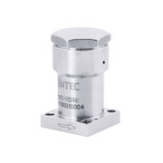 CV01 Series Check Valves (Top Mount)