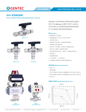 BV31系列高压球阀 