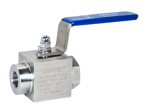 BV21 Series Ball Valves