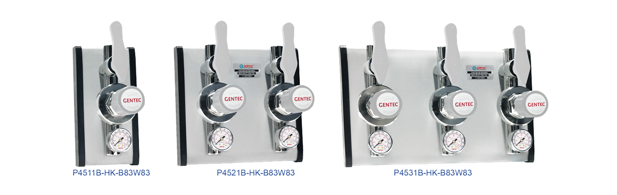 GENTEC P4500 Series Terminal Gas Control Panels